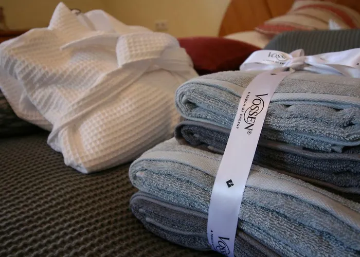 Anna Am Hallstaettersee Tatil Evi *