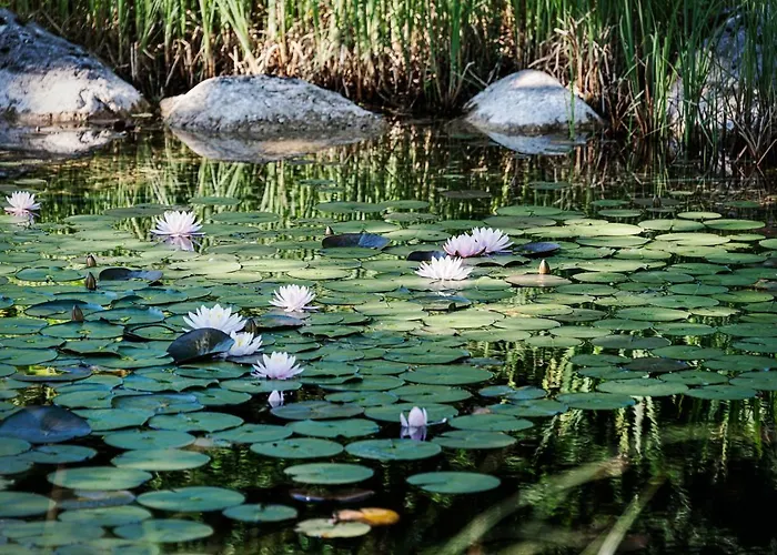 Villa Anna Grosses Haus Fuer Familien Und Gruppen Bis 10 Personen 펜션 *